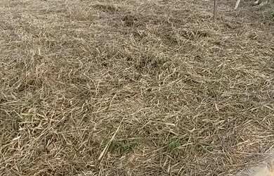 Imagem 13: Terreno Smart City Salto 175m2