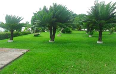 Imagem 12: 2.647 alqueires ,2.033 alqueires abertos Estado do Pará R$235 milhões...