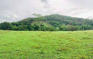 Imagem 8: Fazenda na Agrovila das Palmeiras 630 Hectares