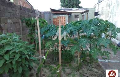 Imagem 6: Casa térrea na rua 2 dormitórios, cozinha planejada
