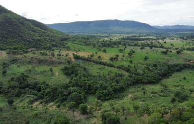 Imagem 16: Fazenda na Agrovila das Palmeiras 630 Hectares