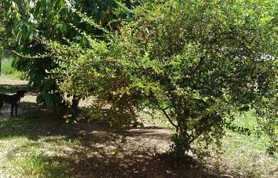 Imagem 3: Vende-se ou trocasse por outra casa casa localizada no residencial Canaã...