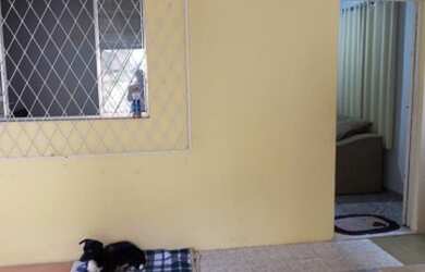 Imagem 5: Vendo ótima casa em Viana sede