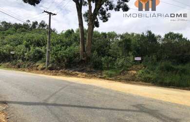 Imagem 2: Área à venda em Almirante Tamandaré na estrada do marmeleiro