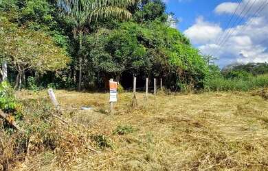 Imagem 4: Terreno na avenida Curua Una, Comunidade São Jorge
