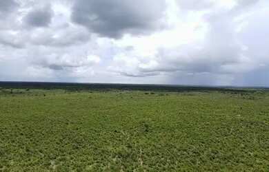 Imagem 6: Fazendas no Maranhão. 