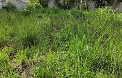 Imagem 3: Terreno no Jd. Roma em Almirante Tamandaré