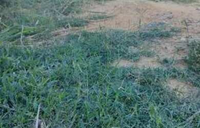 Imagem 11: casa em saquarema com piscina