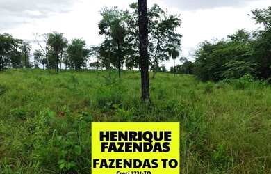 Imagem 16: Fazenda de oportunidade em Divinopolis 25 alq por 1,5 milhões