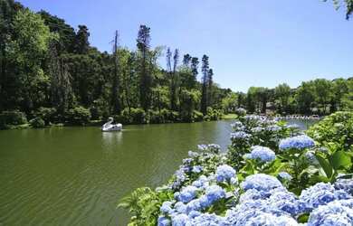 Imagem 6: Terreno - Bairro Parque das Fontes