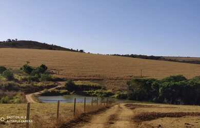 Imagem 7: R$150 Milhões Fazenda de 405 alqueires em Campo Alegre-GO