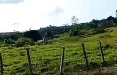 Imagem: O terreno está localizado em Iracema, RR à venda por R$350.000