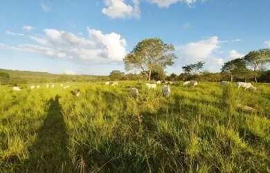 Imagem 4: A M IMOVEIS VENDE EXELENTE FAZENDA COM 180HECTARES EM PARACATU MG