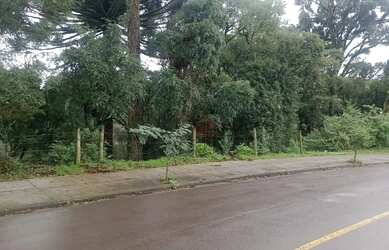 Imagem 2: Terreno à venda em Canela
