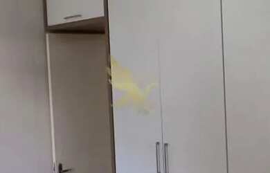 Imagem 2: Apartamento á venda com quintal gourmet, 2 quartos, todo mobiliado no Jardim Ipaussurama