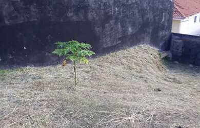Imagem: O terreno possui 308m² de Área e está localizado em Cidade