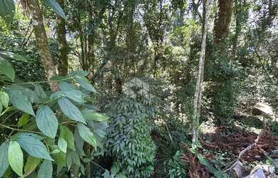 Imagem 9: Terreno a Venda em Canela