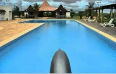 Imagem 4: Lotes na Fazenda Real Macaiba