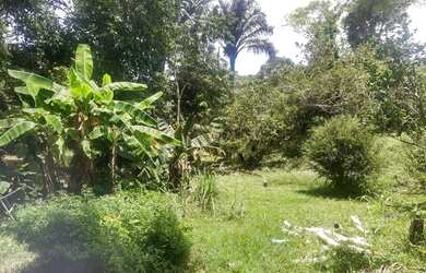 Imagem: O terreno possui 6.650m² de Área e está localizado em Tarumã