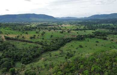 Imagem 10: Fazenda na Agrovila das Palmeiras 630 Hectares
