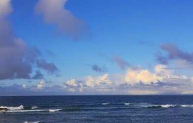 Imagem: O apartamento possui 3 Dormitórios, 2 Banheiros e está localizado