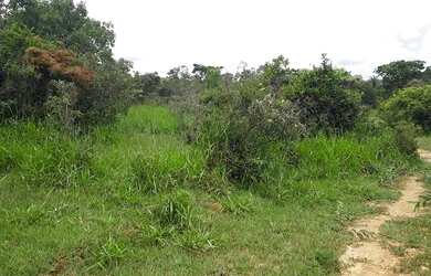 Imagem: O terreno possui 20.000m² de Área e está localizado em Jaboticatubas