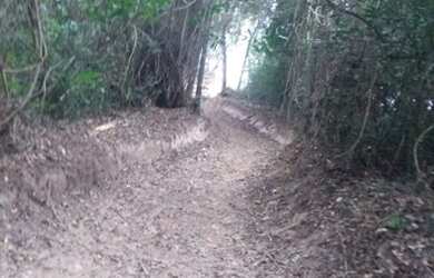 Imagem: A fazenda está localizado em Porto Feliz, SP à venda por R$350.000