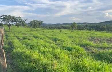 Imagem: A fazenda possui 540m² de Área e está localizado em Cabeceira