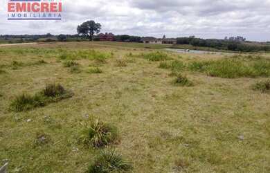 Imagem 2: EMICREI VENDE FAZENDA DE 410 HECTARES EM PINHEIRO MACHADO ,PARA SOJA