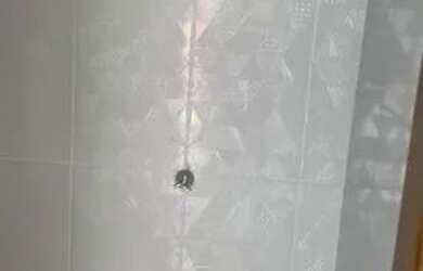 Imagem 12: Condomínio a Venda. 360m² de Área, 5 Vagas na garageme1 Dormitório