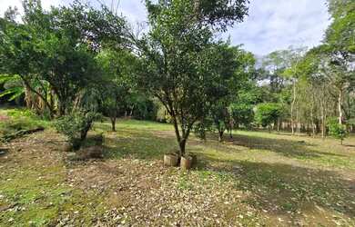 Imagem 5: INBOX CIA IMOBILIÁRIA VENDE LINDO SÍTIO PARA VENDA COM CASA, QUIOSQUE,...