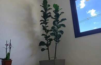 Imagem 4: Casa à venda e para alugar em Itupeva, Nova Era, com 3 quartos, com 170...