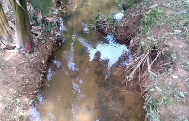 Imagem 6: Lindos 5780 mts apenas 247 mil reais casa nova