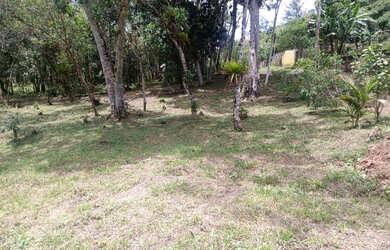 Imagem 8: Lindos 5780 mts apenas 247 mil reais casa nova