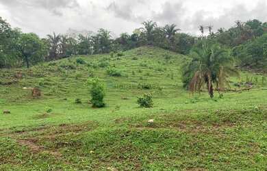 Imagem: A fazenda possui 630m² de Área, Churrasqueira e Piscina e