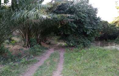 Imagem 11: Chácara à venda, 40200 m² por R$ 850.000 - Recreio Atlântico - Guarapari/ES