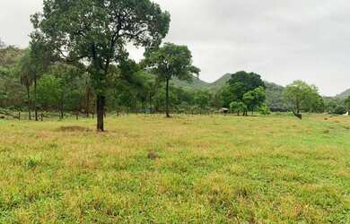 Imagem 4: Fazenda na Agrovila das Palmeiras 630 Hectares