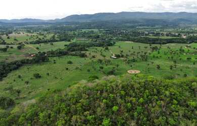 Imagem 12: Fazenda na Agrovila das Palmeiras 630 Hectares