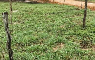 Imagem 2: Vendo lote 9x17. 153m² de Área