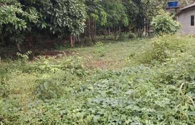 Imagem: O terreno possui 60m² de Área e está localizado em Floresta