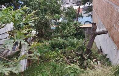 Imagem 7: Vila das Belezas Jardim Casa Branca TEERENO 10 POR 25 ótimo local