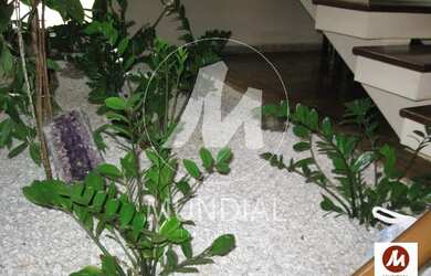 Imagem 15: Casa sobrado na rua 6 dormitórios/suite, cozinha planejada