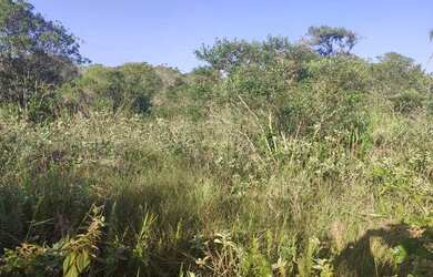 Imagem: O terreno está localizado em Ilha Comprida, SP à venda por