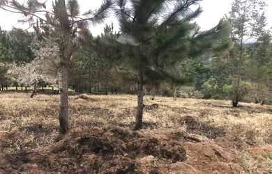 Imagem: O terreno possui 450m² de Área e está localizado em Jardim