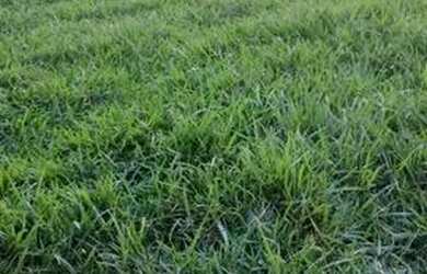 Imagem 6: casa em saquarema com piscina