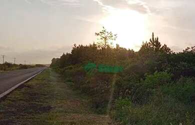 Imagem 13: Sítio à venda, 70000 m² por R$ 659.000 - Lagoa Country Club - Cidreira/RS