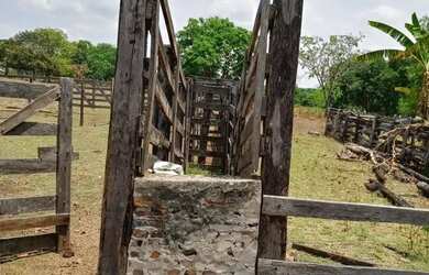 Imagem 11: Imóvel para venda possui 1010000 metros quadrados em Centro - Arinos...