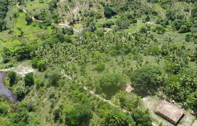 Imagem 9: Fazenda Mista em Conde -BA