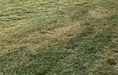 Imagem 7: Lote/Terreno para venda com 250 metros quadrados em Vila Zilda Natel -...