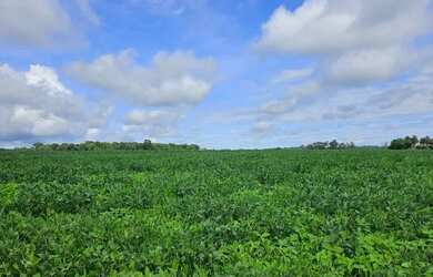 Imagem: A fazenda possui 241.090m² de Área e está localizado em